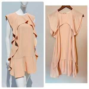 NWOT Anthropologie Endless Rose Waterfall Collar Dress Size Small